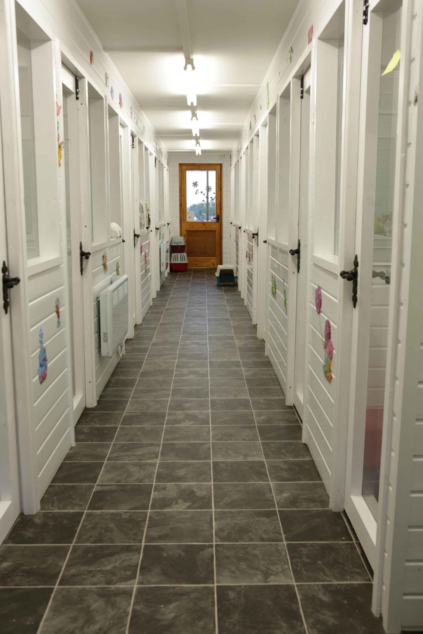 VALLEYCATS 153 Scaled