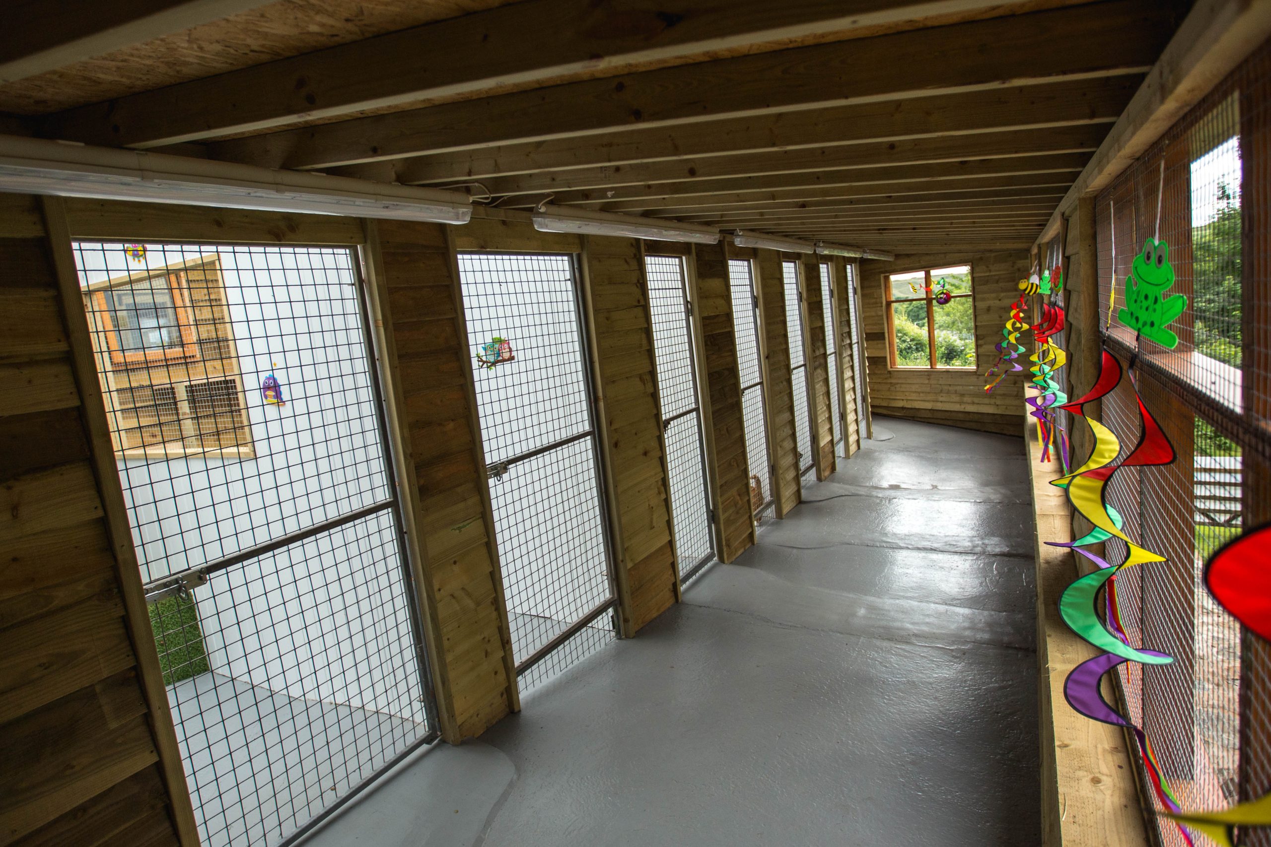 VALLEYCATS 94 Scaled