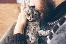 cat getting a cuddle